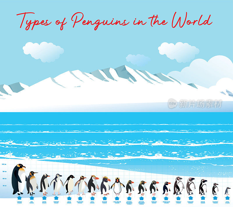 企鹅和南极洲