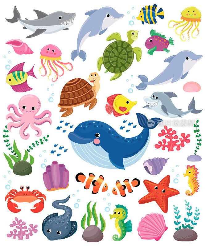 一大群海洋动物