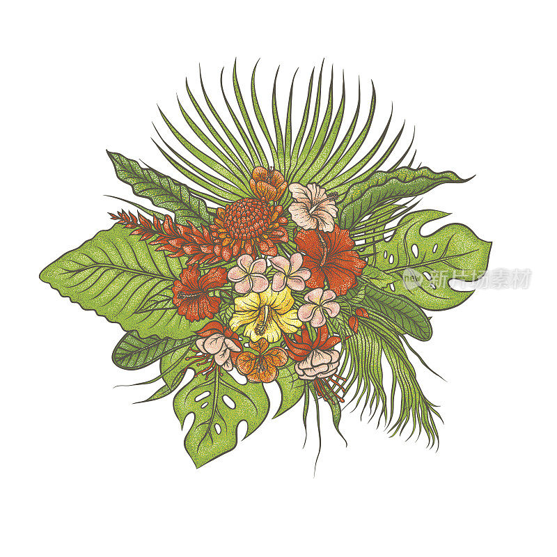 向量素描彩色纹理集组成花束。绿叶热带植物，奇特的粉红色和红色花蕾。图片轮廓图收集季风雨林草本和植被