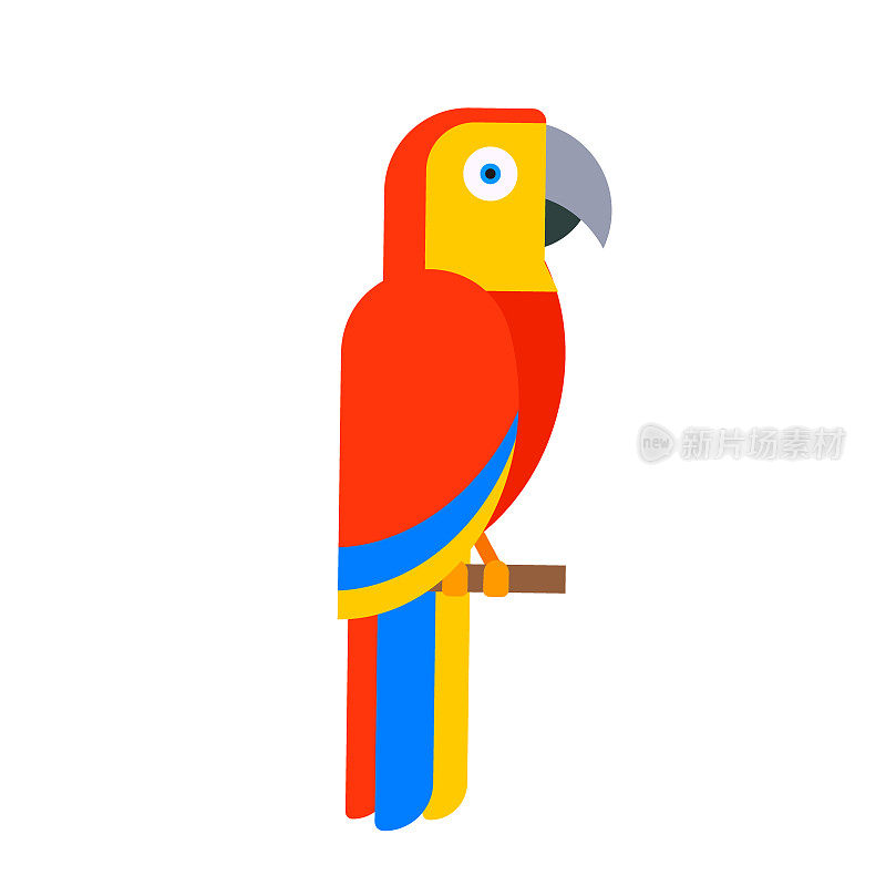 鹦鹉鸟类品种动物自然热带长尾小鹦鹉教育彩色宠物载体插图