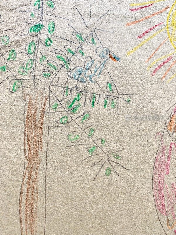 孩子画的树和鸟