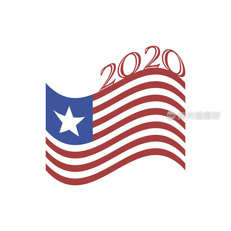 美国2020年大选设计元素