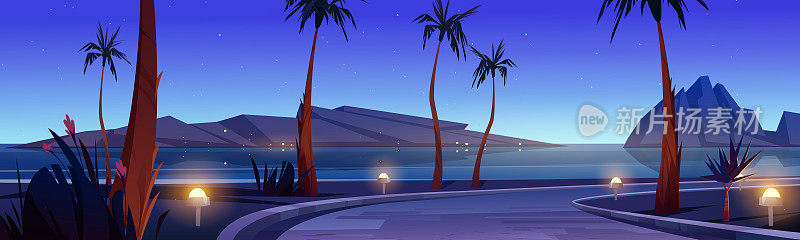 海滩上的道路，晚上有棕榈树