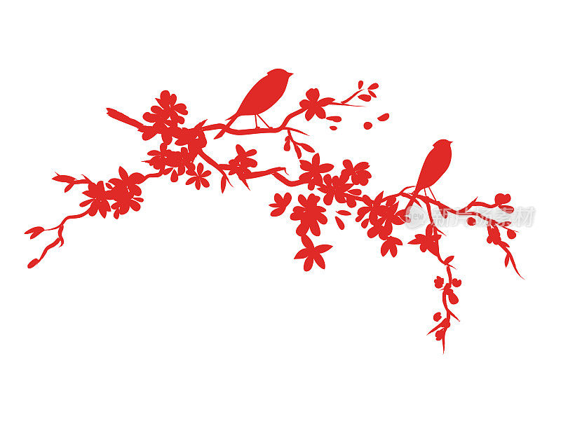 可爱的小鸟坐在樱花枝上
