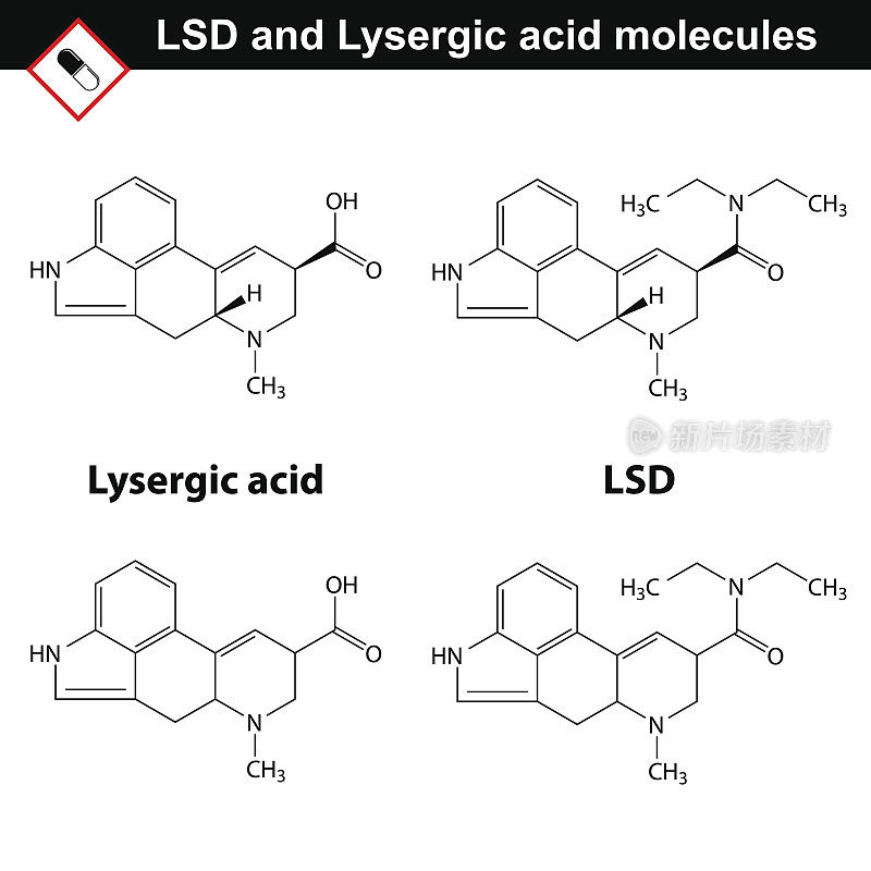 LSD和麦角酸分子