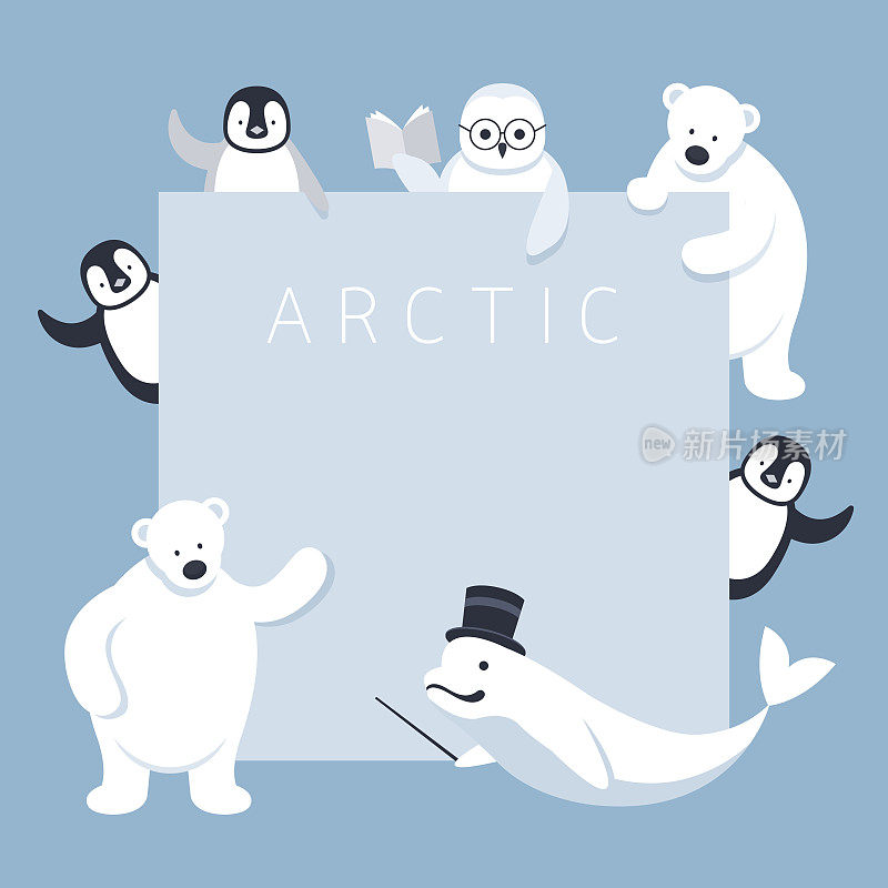 北极动物人物展示，框架