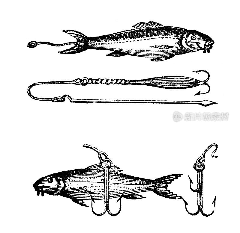 19世纪的鱼饵雕刻
