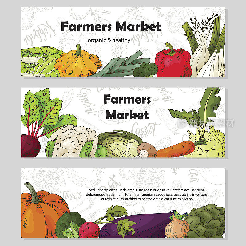 用蔬菜设计食物。甜菜和白萝卜手绘草图。有机新鲜产品的卡片或海报设计的咖啡馆。色彩斑斓的矢量图