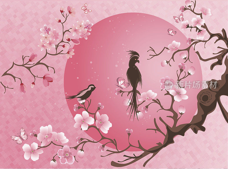 樱花树上有两只小鸟。
