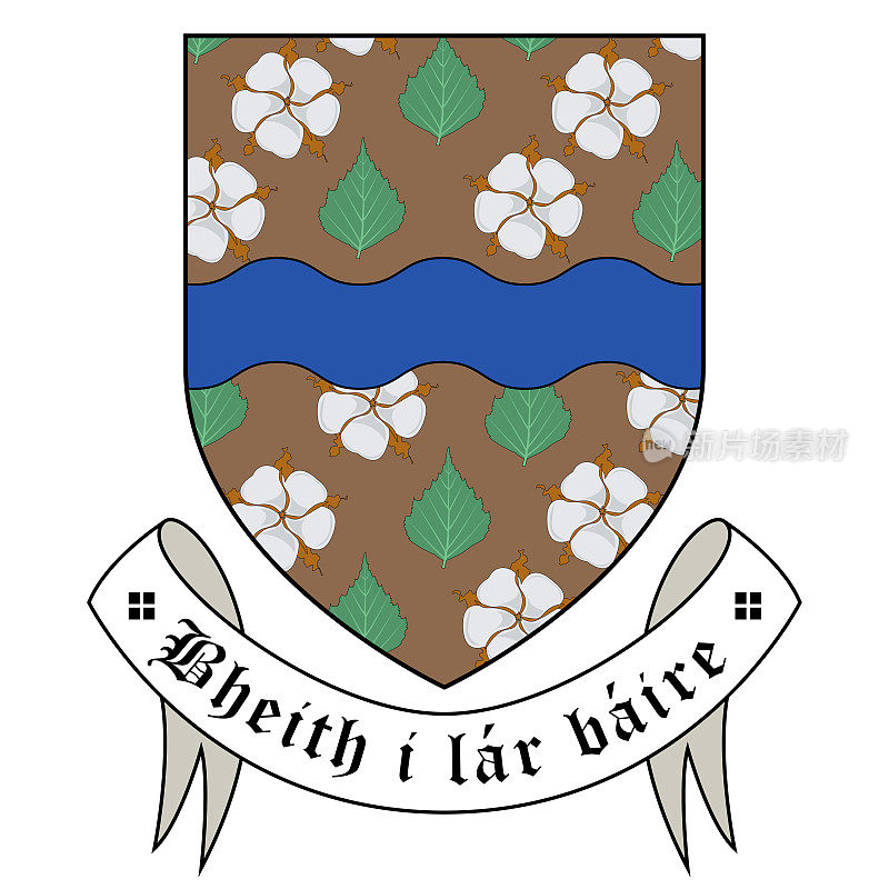 爱尔兰巴利贝市的盾徽