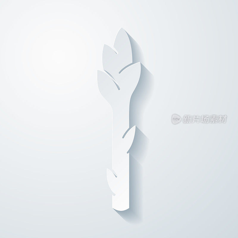 芦笋。在空白背景上具有剪纸效果的图标