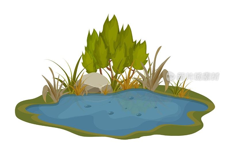 湖泊，沼泽与石头，芦苇百合叶卡通风格孤立在白色背景上。森林幻想场景，野生自然。矢量图