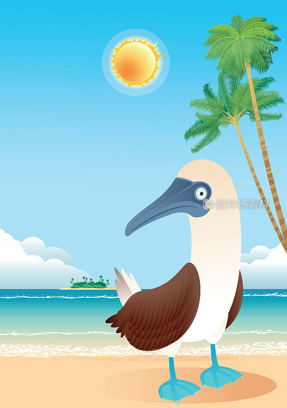 蓝脚鲣鸟和加拉帕戈斯群岛