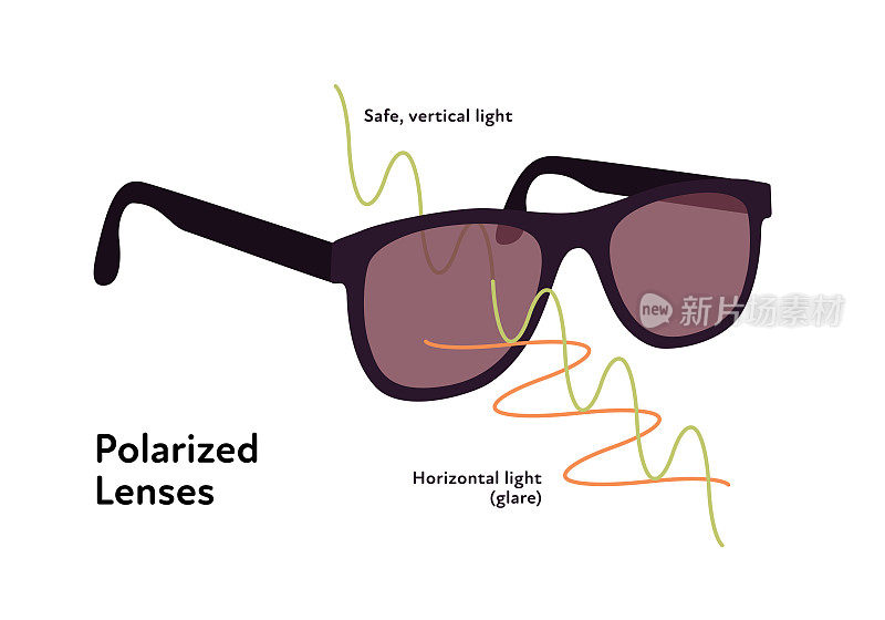保护太阳镜信息图表。矢量平面现代插图。在白色背景上带有偏光镜片的太阳眼镜。垂直和水平光波符号。