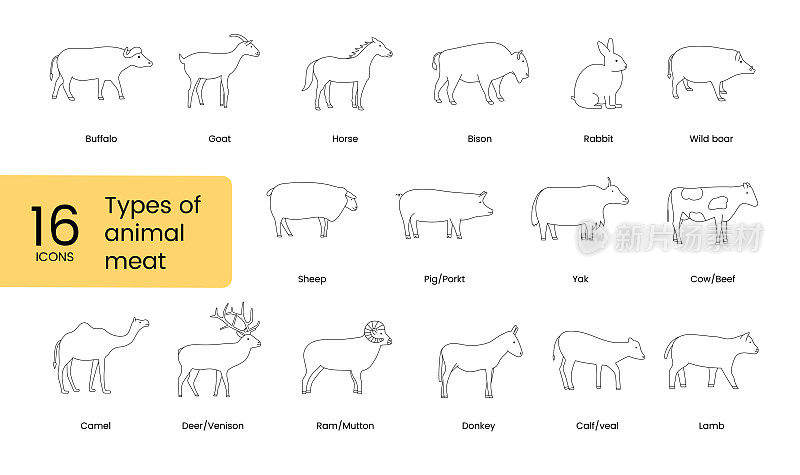动物肉的类型，线性图标在矢量。