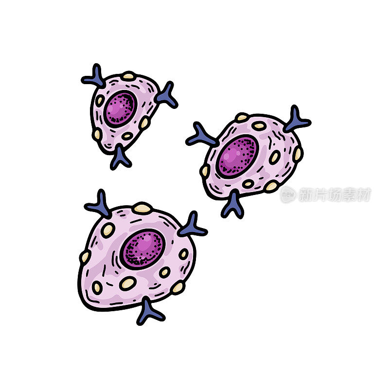 白色背景上分离的肥大细胞。手绘科学微生物载体插图素描风格