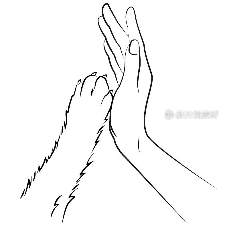 人的手和狗的爪。友谊