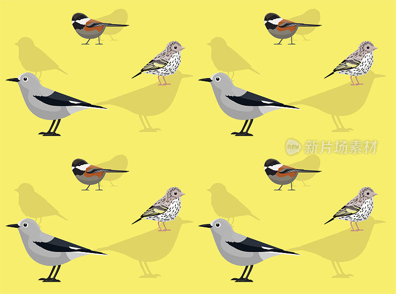 鸟Siskin山雀胡桃夹子可爱的卡通姿势无缝壁纸背景
