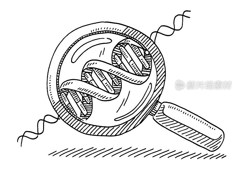 DNA螺旋放大镜绘图