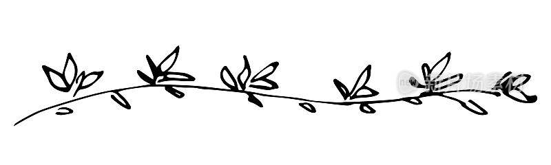 简单的黑色轮廓矢量绘图。有叶子的细枝。花边，分隔。自然和植被。