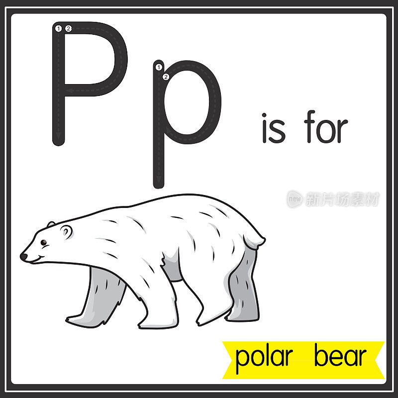 矢量插图学习字母为儿童与卡通形象。字母P代表北极熊。