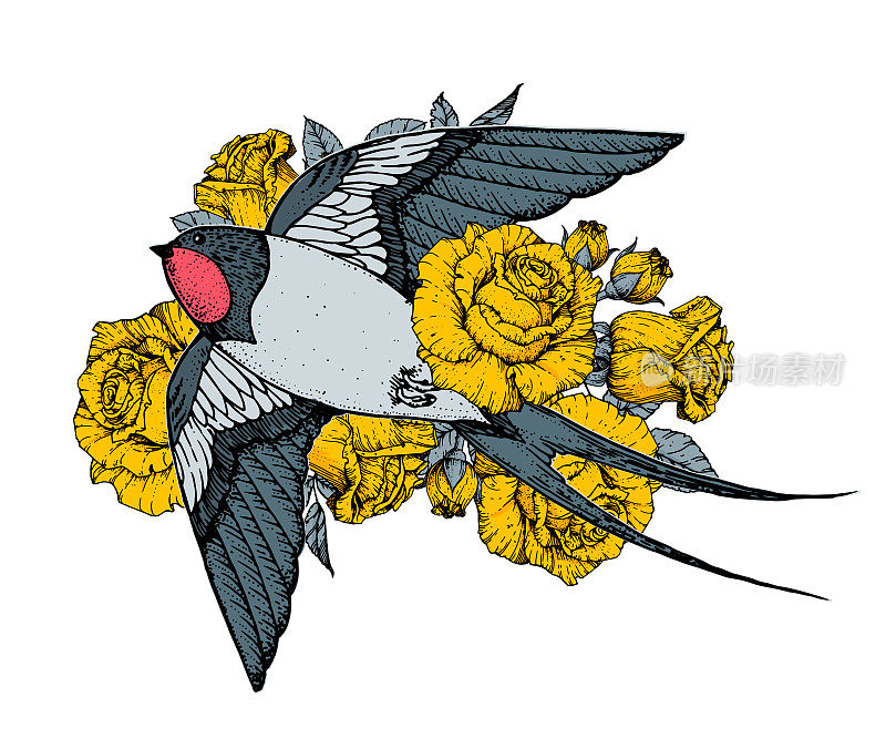 燕子在玫瑰中飞翔。手绘向量。t恤的设计。