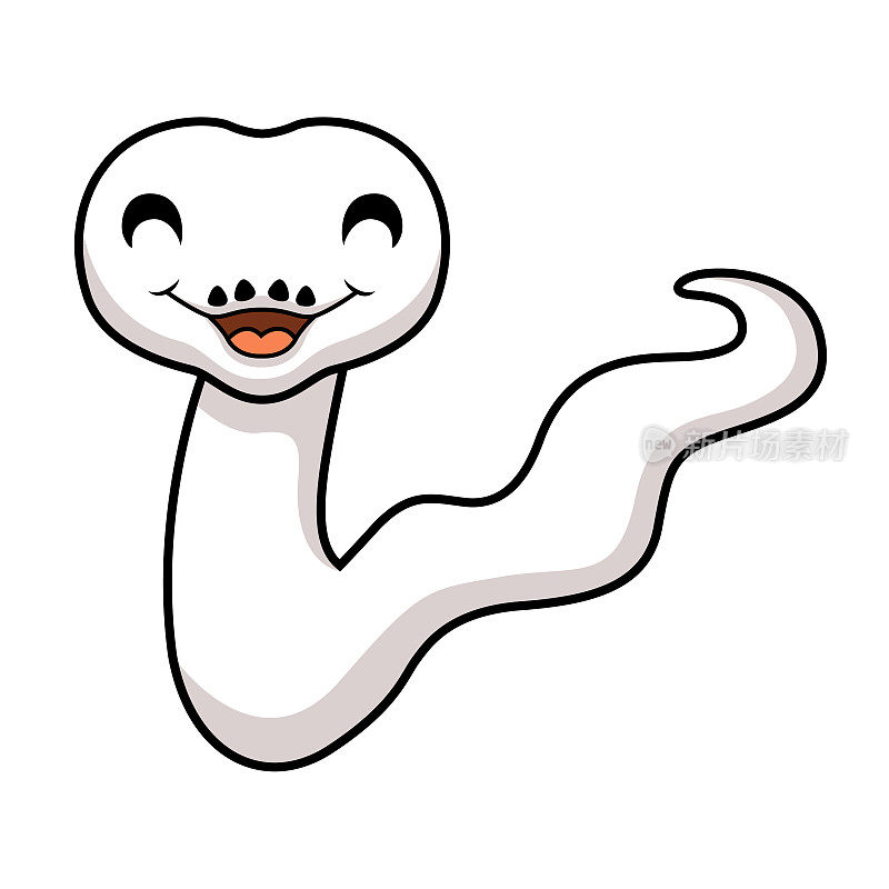 可爱的白色白光球蟒蛇卡通