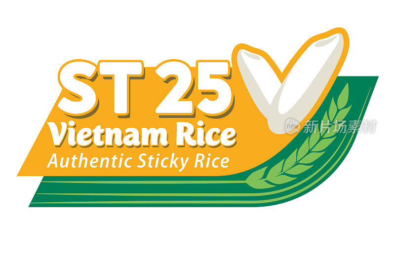 越南ST25大米概念。稻谷优质有机。米粒标志矢量