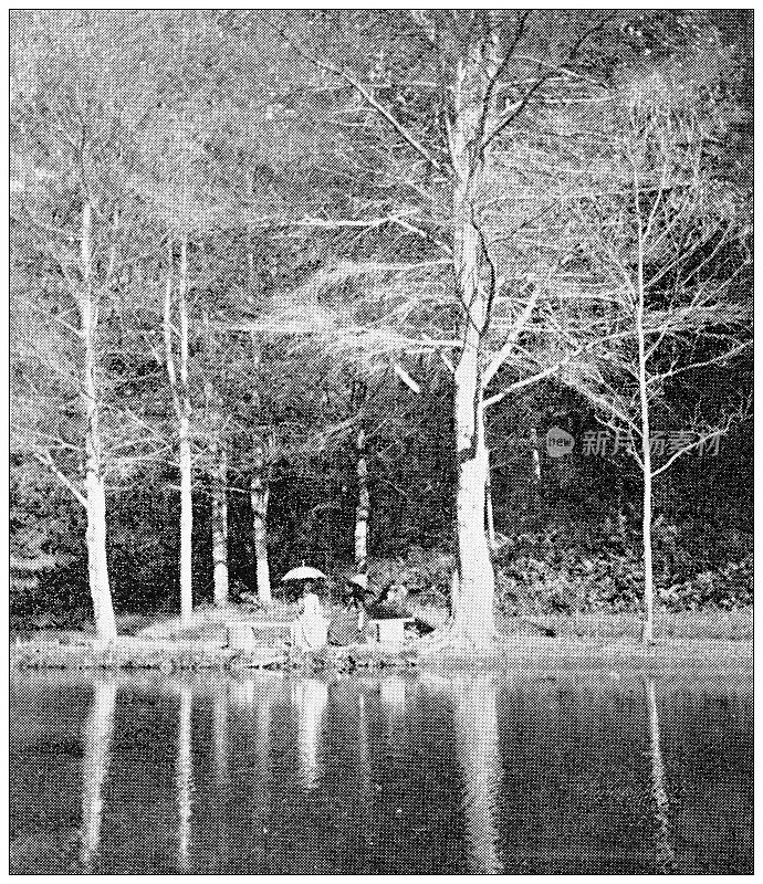 汉普顿县，马萨诸塞州的古董图像:斯普林菲尔德，森林公园池塘