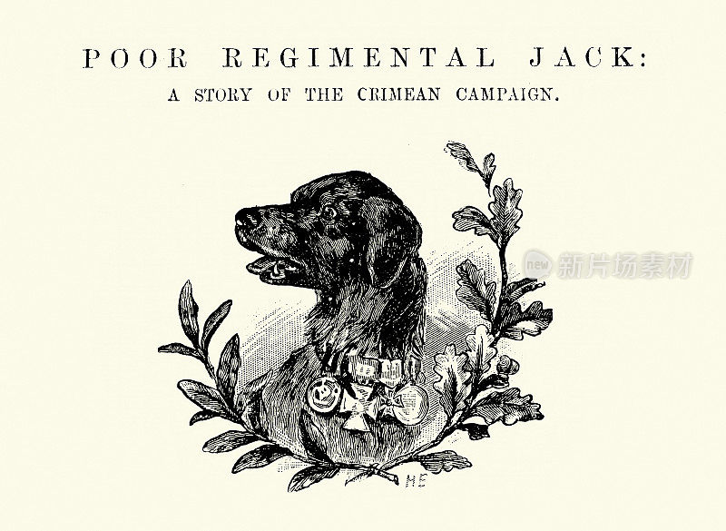 复古插图英国军团吉祥物，宠物狗，19世纪
