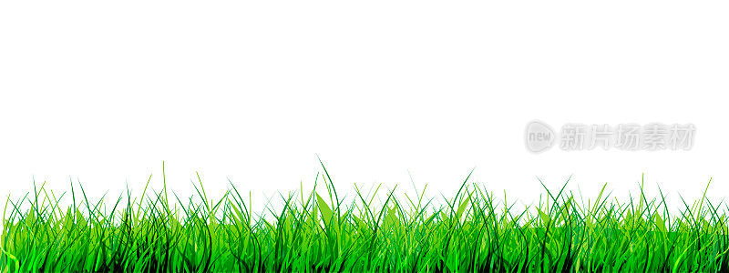 现实主义风格的春夏。新鲜的绿草在孤立的白色背景。春天清新的彩带用于节日装饰。