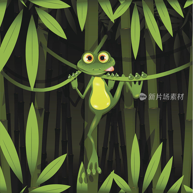 丛林中的青蛙