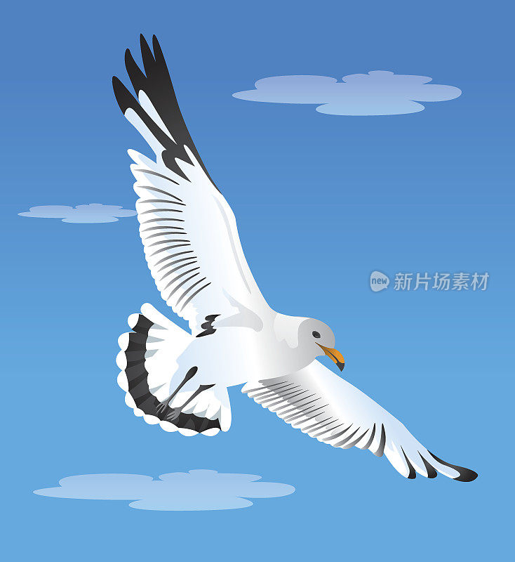 一只飞翔的海鸥在蓝天中滑翔的插图。理想的生态系统材料和海洋生物