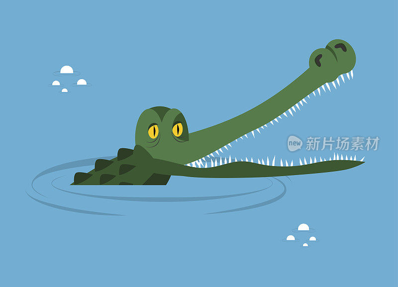 鳄鱼在水里。沼泽中的大鳄鱼。可爱的抓头