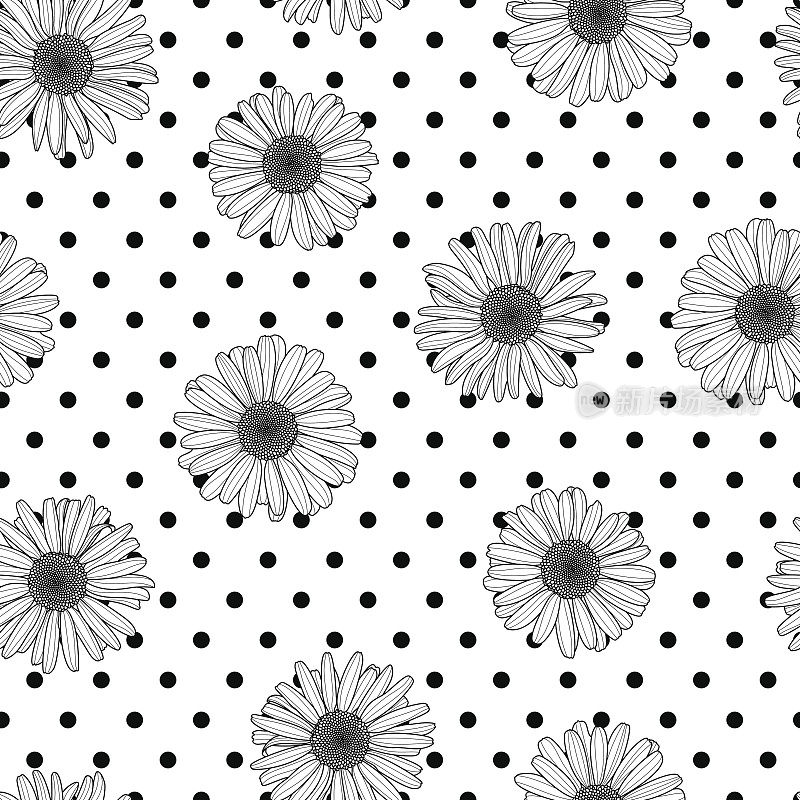 矢量花无缝波尔卡点图案。黑白背景与轮廓手绘洋甘菊花。