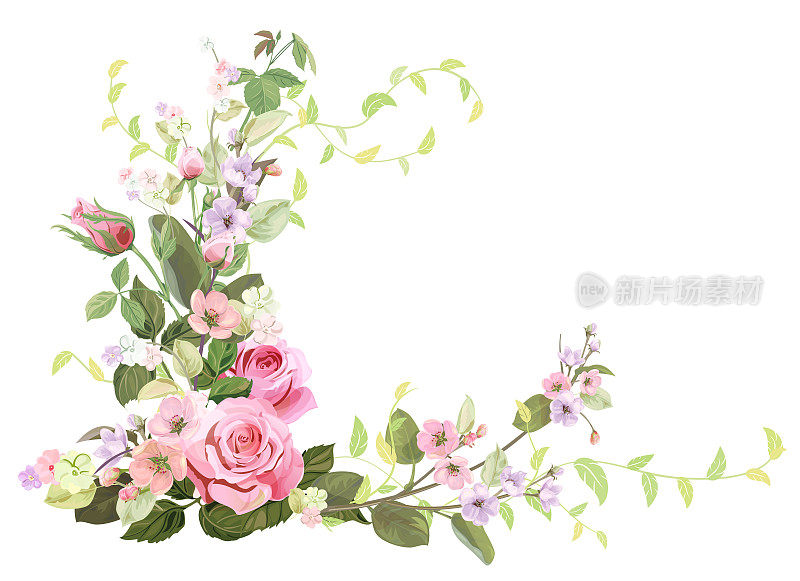 有角度的框架与玫瑰，春天开花(开花)，树枝与紫红色，粉红色苹果树花，芽，绿色的叶子在白色的背景。数字绘制，插图水彩风格，复古，矢量