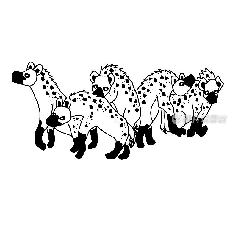 鬣狗家族，手绘矢量图。