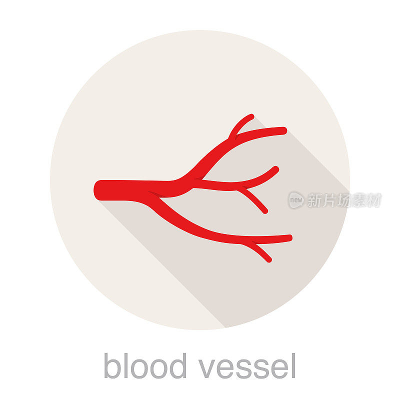 人体血管平面图标，矢量插图