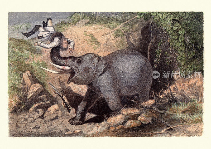 大象袭击狩猎猎人，维多利亚19世纪