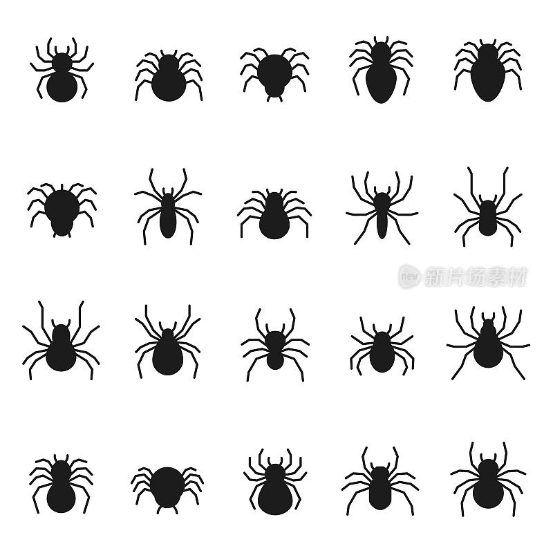 蜘蛛图标集