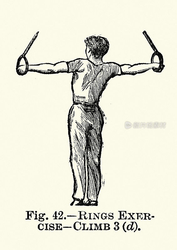 体操，吊环运动，维多利亚时代的运动19世纪
