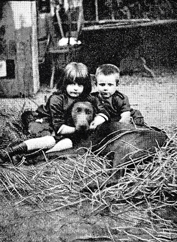 孩子们在玩耍，男孩和女孩和一只狗躺在干草中