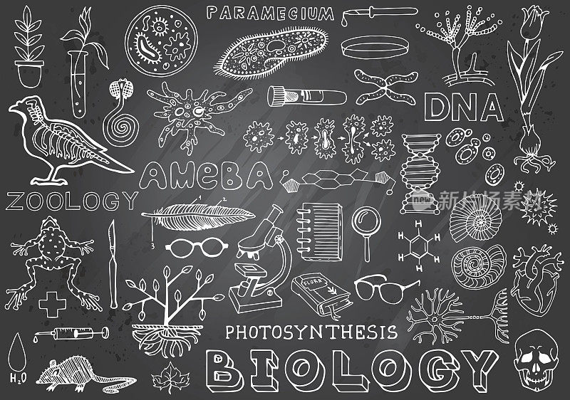 生物科学涂鸦手绘元素。科教主题。