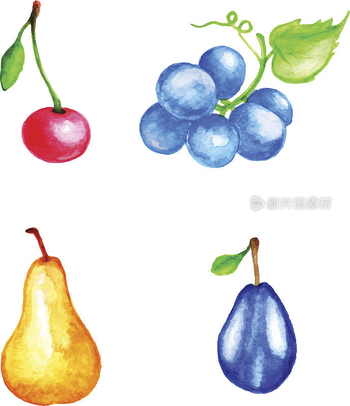 水彩水果和浆果