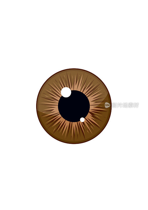 人棕色眼球虹膜瞳孔孤立在白色背景上。眼睛
