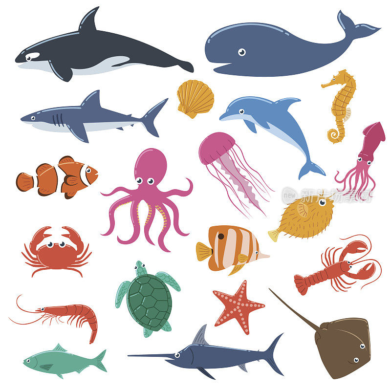 海洋动物组