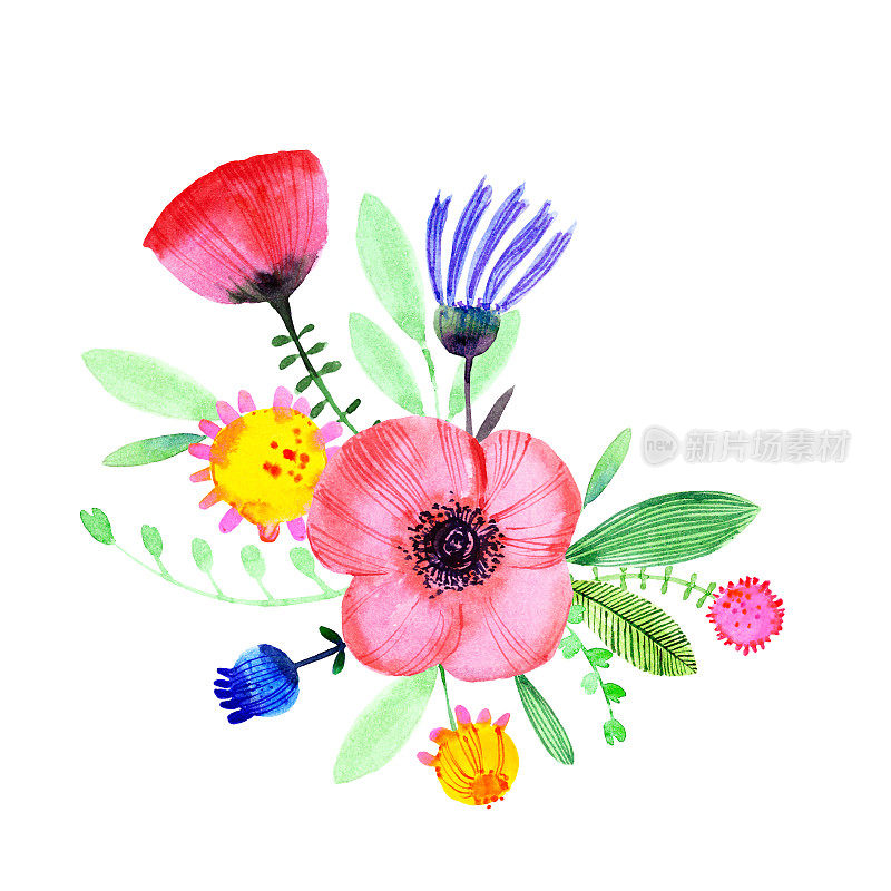 红罂粟花，罂粟花蕾，蓝矢车菊，雏菊和花叶