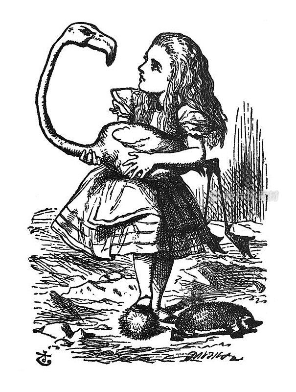 爱丽丝梦游仙境古董插图-爱丽丝拿着一只火烈鸟
