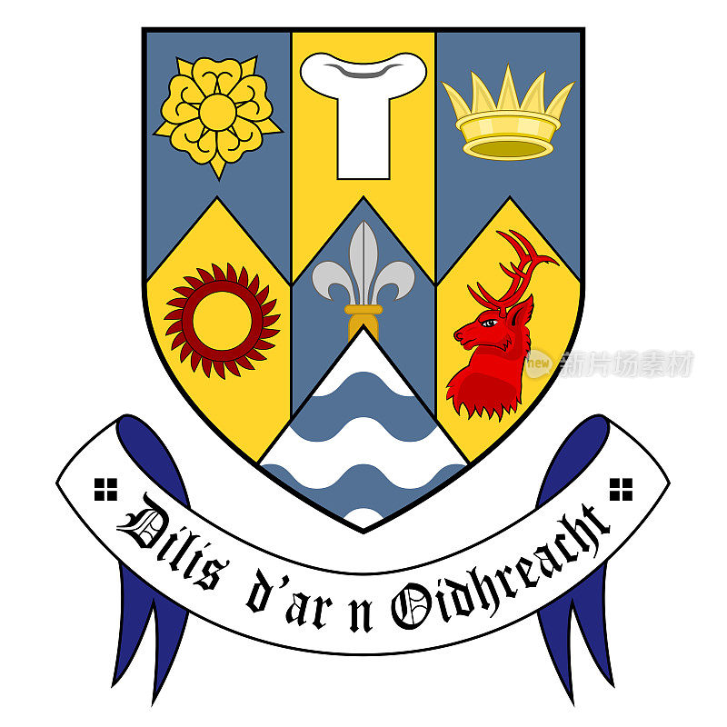 爱尔兰明斯特克莱尔郡的盾形纹章