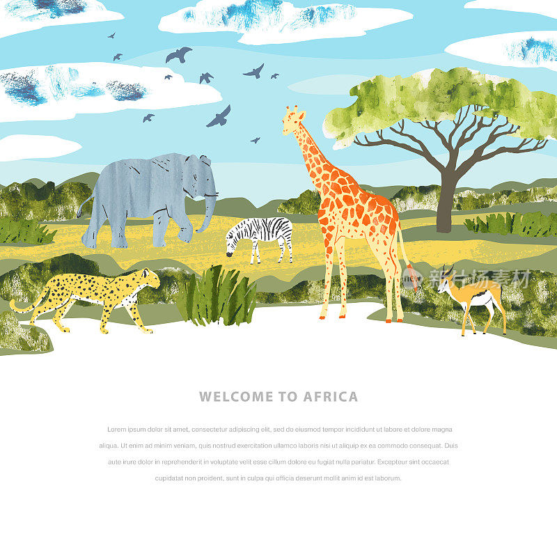 非洲景观。矢量横幅上有动物、金合欢树、草和文字的地方。明亮的模板旅游，safari和动物园